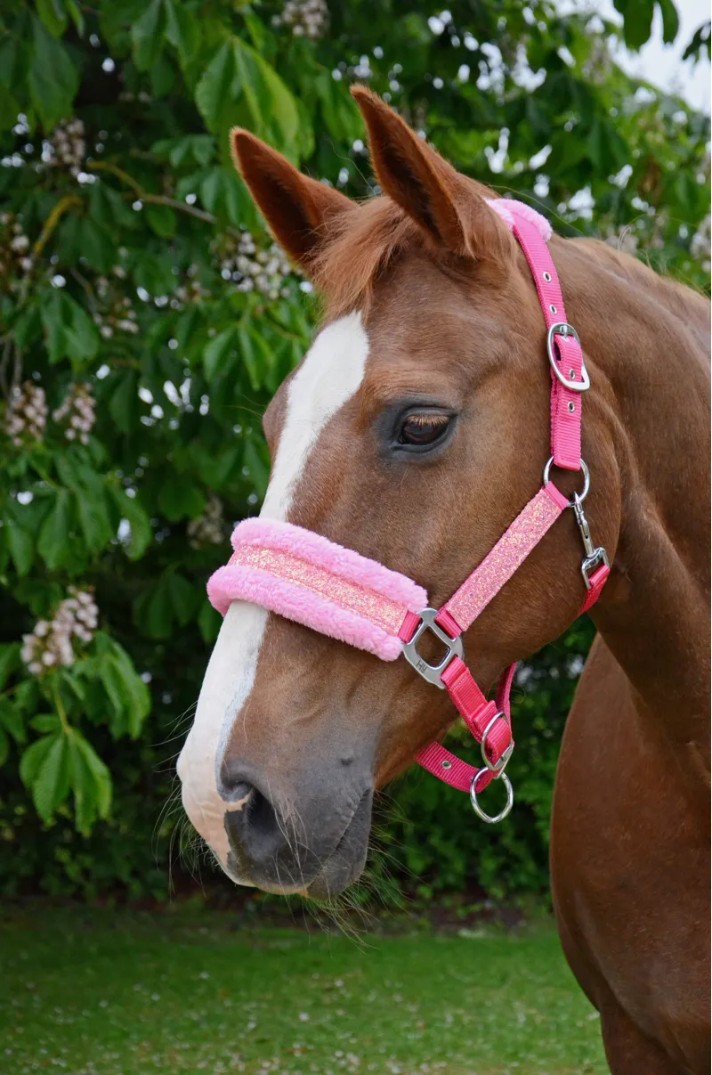 Hy Equestrian Dazzle Head Collar - Powder Pink-2